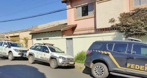 Polícias Federal e Ambiental apreendem animais silvestres em piscina de vinil