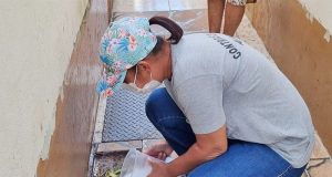 Casos de dengue em Araraquara passam dos 16 mil nesta segunda-feira