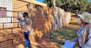 Combate à dengue passa por sete bairros nesta quarta-feira