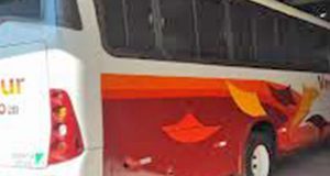 Homem furta ônibus na Vila Xavier, anda por 4 km e bate em árvore