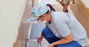 Dengue: Prefeitura realiza vistoria, nebulização e fumacê nesta sexta (23)