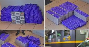 Polícia Rodoviária apreende quase 200 quilos de maconha na Washington Luís