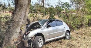 Carro sai para o acostamento em rodovia, bate em árvore e mata mulher