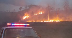 Araraquara registra queda de 35% no número de incêndios em vegetação neste ano