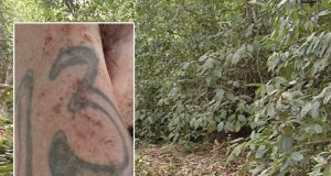 Corpo encontrado em mata no Parque São Paulo foi identificado pela família