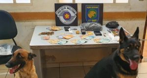 Com ajuda de cães farejadores a Polícia Militar desmancha ‘biqueira’ em Araraquara