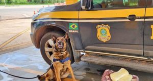 Mulher é presa em Cuiabá/MT, trazendo drogas para Araraquara