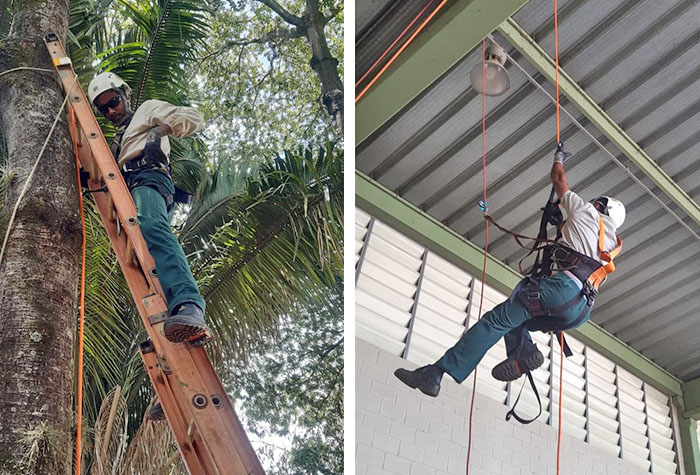 Curso Dado Pelo Senar Mostrou Os Riscos Do Trabalho Rural Em Altura Aos Trabalhadores Da 6669