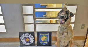 Com 14 anos, ‘Gatinho do Tráfico’ é detido no Maria Luiza em Araraquara