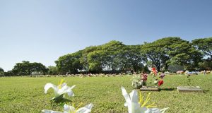 Em Araraquara o Lírios Cemitério Parque realiza programação especial no Dia das Mães