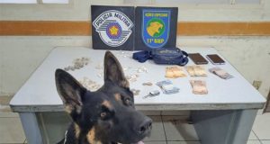 Jovens de 14 e 16 anos são detidos como traficantes no Jardim Paraiso