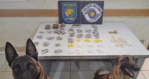 Descobertos por cães farejadores, traficantes abandonam sacola com drogas