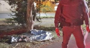 Motociclista morre na madrugada desta segunda após bater em árvore