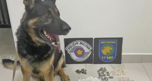 Cachorra K9 Aslan outra vez deixa traficante do Jardim Paraíso no prejuízo