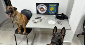 Polícia Militar prende traficante no Jardim Paraiso e recupera moto furtada em Araraquara