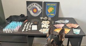 Com ajuda de cão do BAEP, policiais militares acham droga e prendem traficante