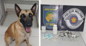 Traficantes fogem e cão farejador ajuda PM a encontrar a droga no São Rafael