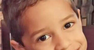 Menino morre após ser picado por escorpião no pátio de escola municipal