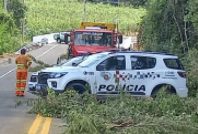 Ponte dos Machados