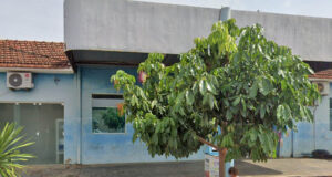 Durante caçada com amigos, homem recebe um balaço e diz que foi acidental