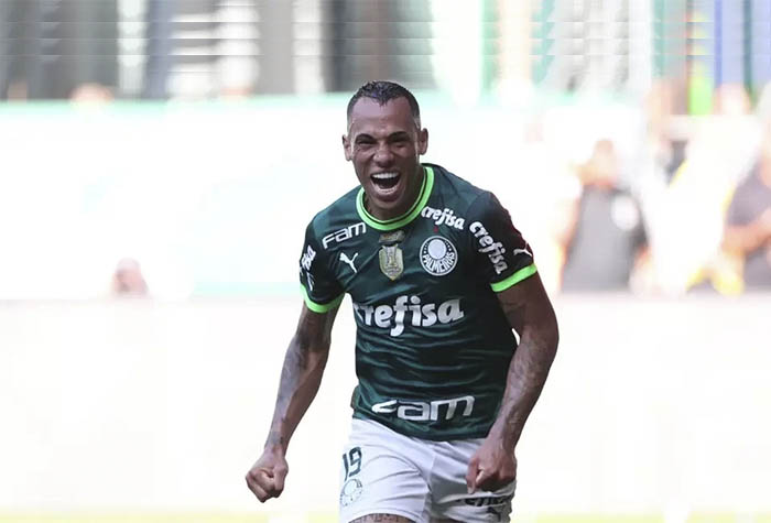 Palmeiras é o campeão do Brasileirão 2023 - Portal Morada - Notícias de  Araraquara e Região