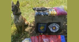 Com ajuda de Kira, Polícia Militar apreende grande quantidade de drogas em Rincão
