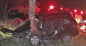 Acidente na Washington Luís tira vida de passageiro após carro bater em árvore