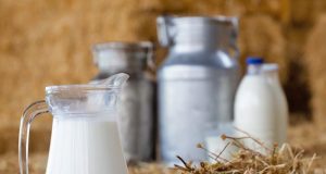 Mapa cria linha de financiamento para ajudar o setor leiteiro nacional