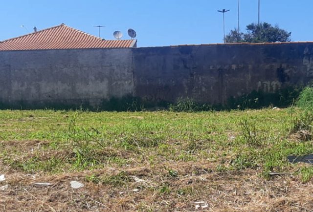Terreno