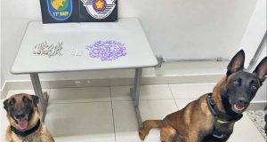 Após ser apanhado com drogas, jovem traficante é levado para a Fundação Casa em Araraquara