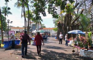 Editais abertos para contratação de músicos e recreadores infantis