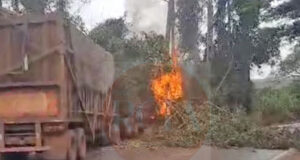 Caminhoneiro de usina morre carbonizado após sair da pista e bater contra eucalipto na beira da estrada