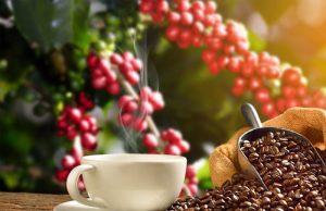 Concurso de cafés especiais “Cuesta Paulista” de Pardinho e região chega a 6ª edição