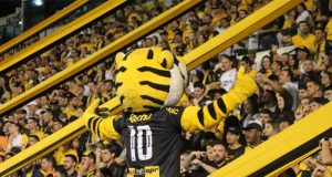 Criciúma se torna clube com mais sócios-torcedores presentes em seu estádio