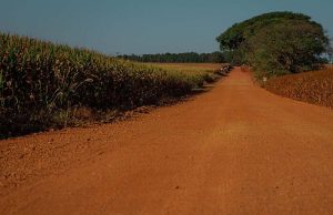 CNA e Esalq-Log iniciam mapeamento de estradas vicinais em oito microrregiões