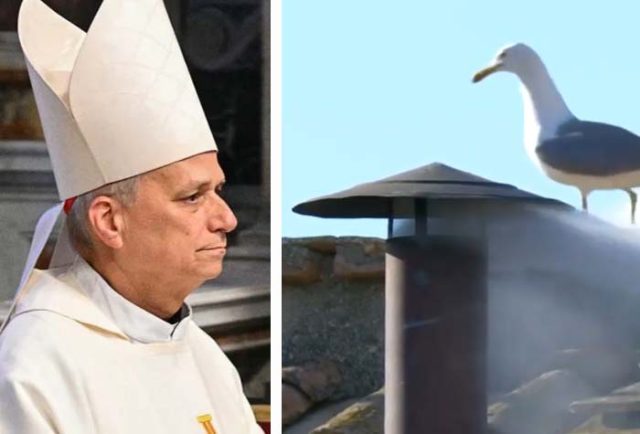 Papa