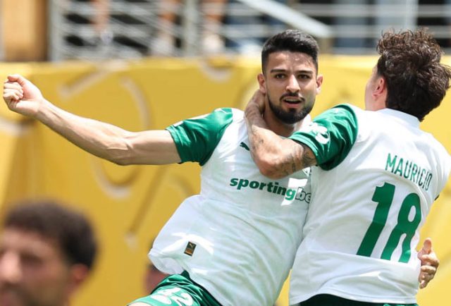 Palmeiras