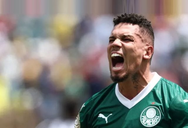 Palmeiras