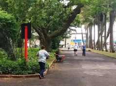 Araraquara tem fim de semana com feira e música no feriado de Finados