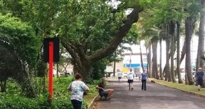 Araraquara tem fim de semana com feira e música no feriado de Finados