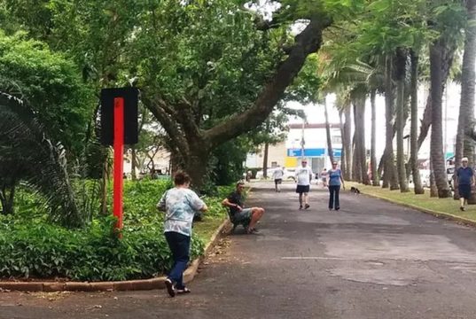 Araraquara tem fim de semana com feira e música no feriado de Finados
