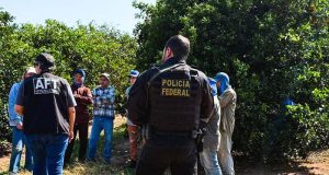 PF atua em combate ao trabalho análogo à escravidão no interior de São Paulo