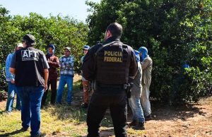 PF atua em combate ao trabalho análogo à escravidão no interior de São Paulo