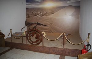 MAPA – Museu de Arqueologia e Paleontologia de Araraquara passa por reforma parcial