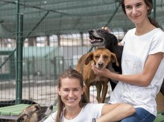 Feira “Pets e Cia.” será realizada neste domingo (26) no Parque Infantil