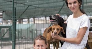 Feira “Pets e Cia.” será realizada neste domingo (26) no Parque Infantil