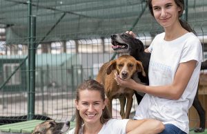 Feira “Pets e Cia.” será realizada neste domingo (26) no Parque Infantil