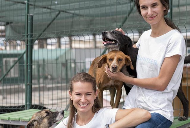 Feira Pets