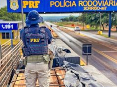 Carretas com madeira irregular apreendidas no Mato Grosso tinham como destino – Araraquara