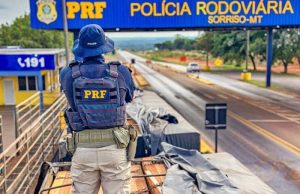 Carretas com madeira irregular apreendidas no Mato Grosso tinham como destino – Araraquara